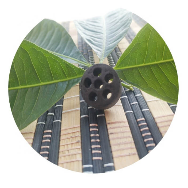 Primary steam reforming catalyst DZC-S169